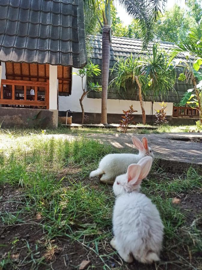 Follow The Rabbit Bungalow Gili Air Exterior foto