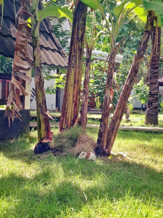 Follow The Rabbit Bungalow Gili Air Exterior foto